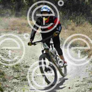 NIC_2873_tn