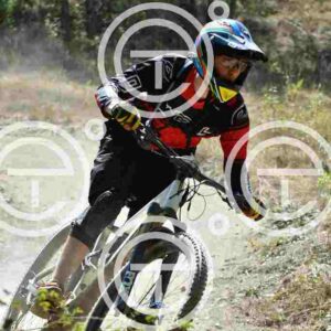 NIC_2876_tn