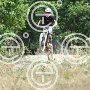 NIC_2905_tn
