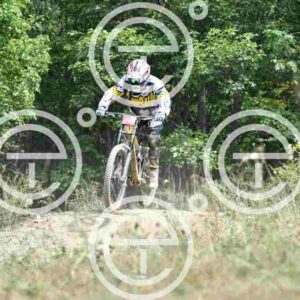 NIC_2908_tn