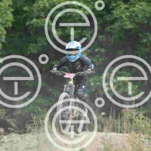 NIC_2967_tn