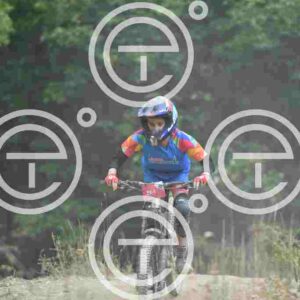 NIC_2973_tn