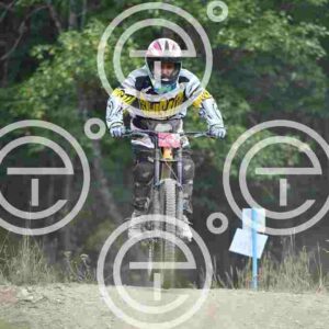 NIC_3065_tn
