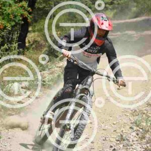 NIC_3082_tn