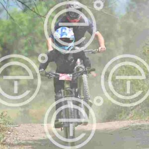 NIC_3083_tn