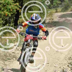 NIC_3097_tn