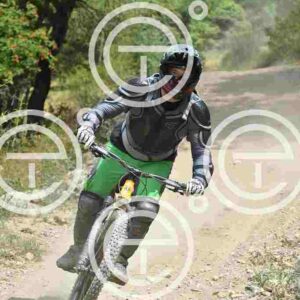 NIC_3103_tn