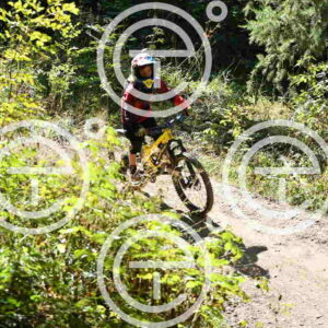 NIC_3582_tn