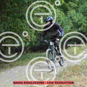 NIC_3802_tn