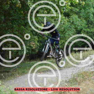 NIC_3823_tn