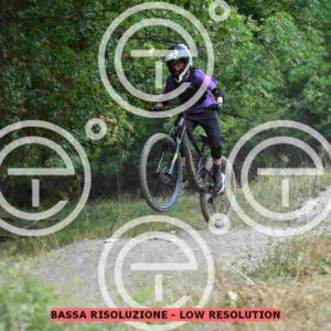 NIC_3834_tn