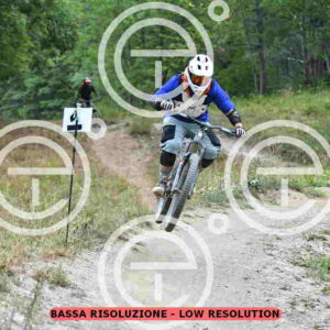 NIC_3843_tn