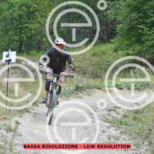 NIC_3848_tn