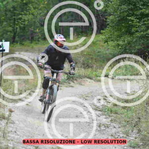 NIC_3849_tn