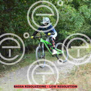 NIC_3864_tn