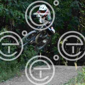 NIC_3909_tn