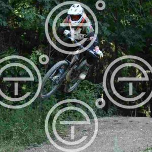 NIC_3910_tn