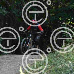 NIC_3953_tn