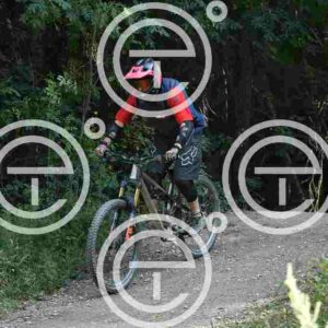 NIC_3957_tn