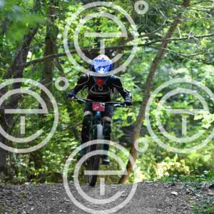 NIC_4007_tn