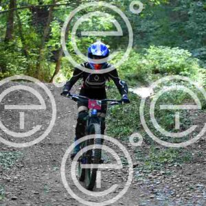 NIC_4008_tn