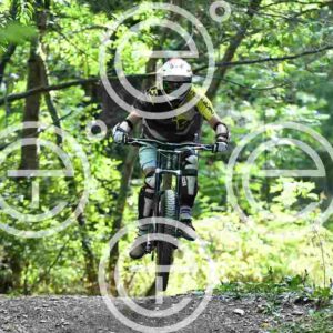 NIC_4053_tn