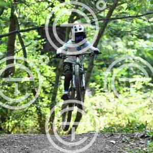 NIC_4064_tn