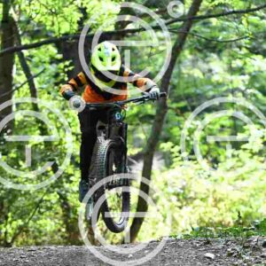 NIC_4074_tn