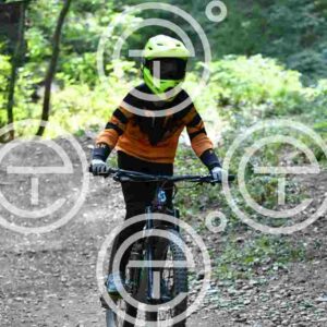 NIC_4077_tn