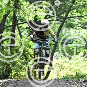 NIC_4079_tn