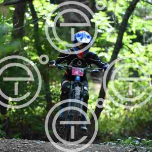 NIC_4125_tn