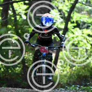 NIC_4128_tn