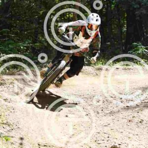 NIC_4182_tn