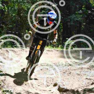 NIC_4194_tn