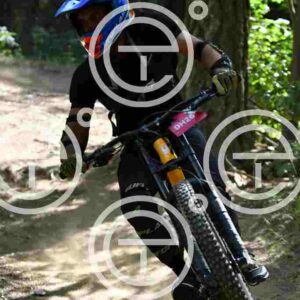 NIC_4197_tn