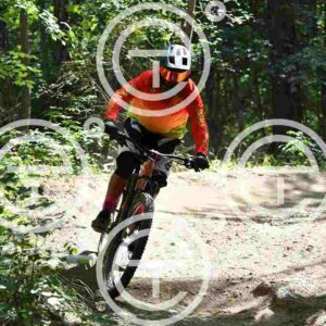 NIC_4203_tn