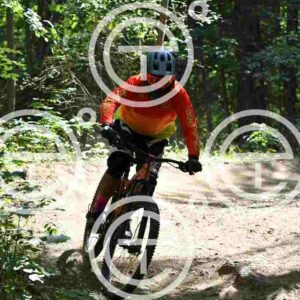 NIC_4204_tn