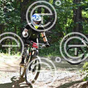 NIC_4209_tn