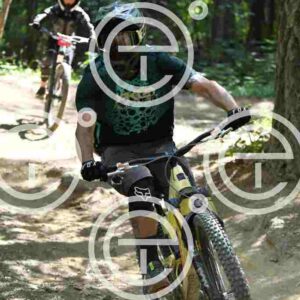 NIC_4214_tn