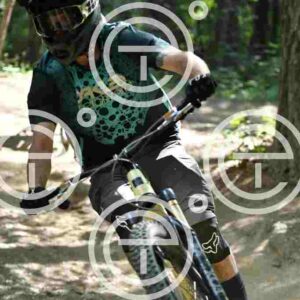 NIC_4216_tn