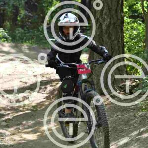 NIC_4219_tn