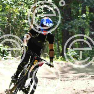 NIC_4229_tn