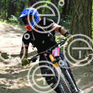 NIC_4231_tn