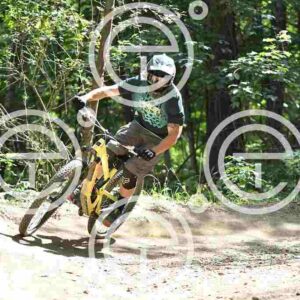 NIC_4235_tn