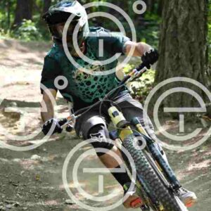NIC_4241_tn