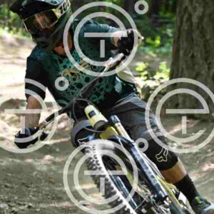 NIC_4242_tn