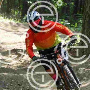 NIC_4249_tn