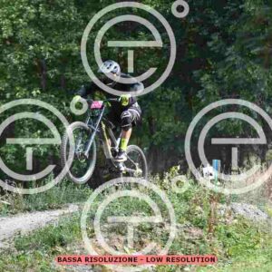 NIC_4438_tn