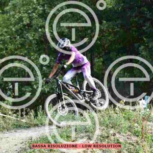 NIC_4467_tn