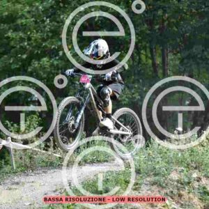 NIC_4527_tn